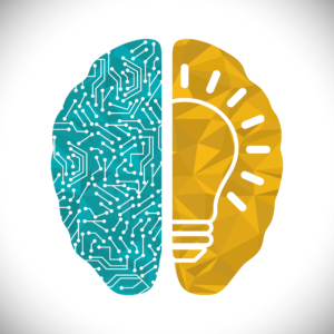 brain