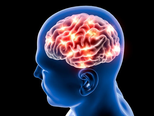 shutterstock_305175476