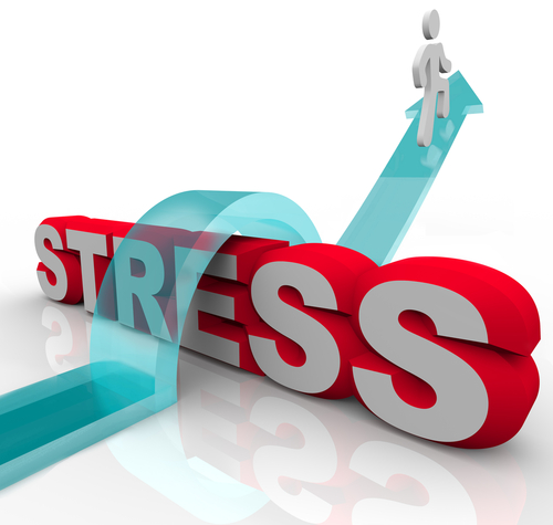 shutterstock_91506293