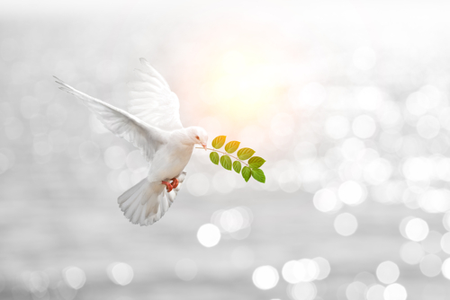 shutterstock_452287282
