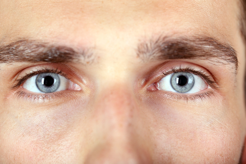 shutterstock_305801345