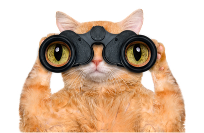 shutterstock_282156524