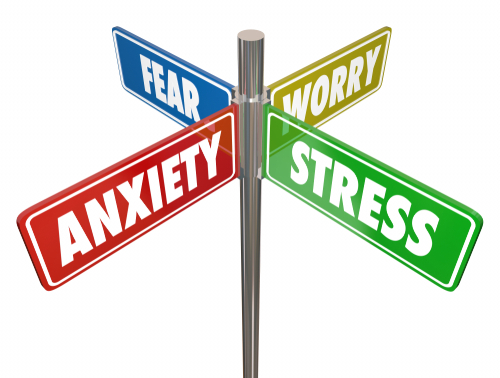 shutterstock_1221514963